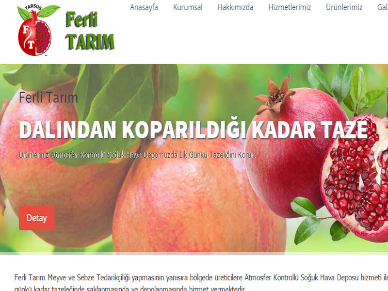 Ferli Tarm Souk Hava Deposu websitesi ilkedesign tarafndan yaplmtr.